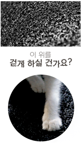 뮤즈스튜디오가 작업한 상세페이지 이미지 일부